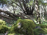nte Cicirello-10042012 053